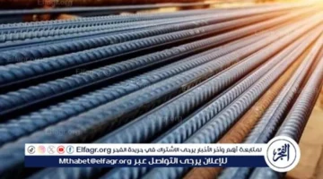 أسعار طن الحديد في سوق مواد البناء بالمنيا تواصل التغير 28 نوفمبر 2025